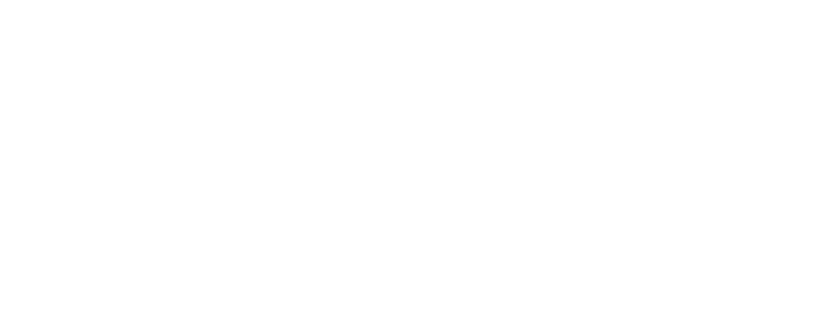 ST Consultores